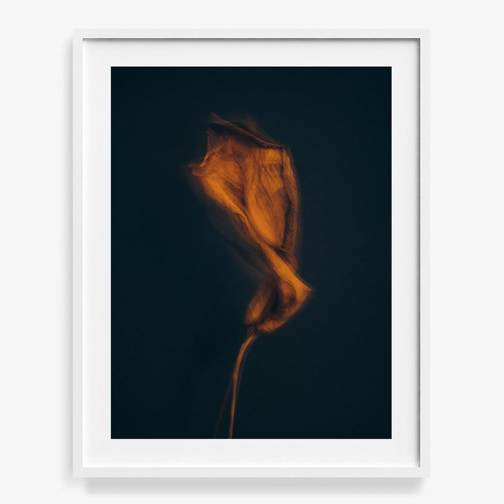 Photograph by Jan Prengel