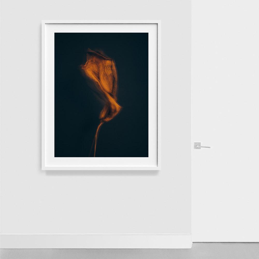 Metamorphosis 03 , Photograph by Metamorphosis 03 Tappan