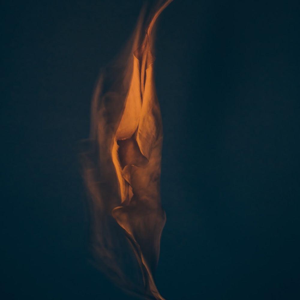 Photograph by Jan Prengel