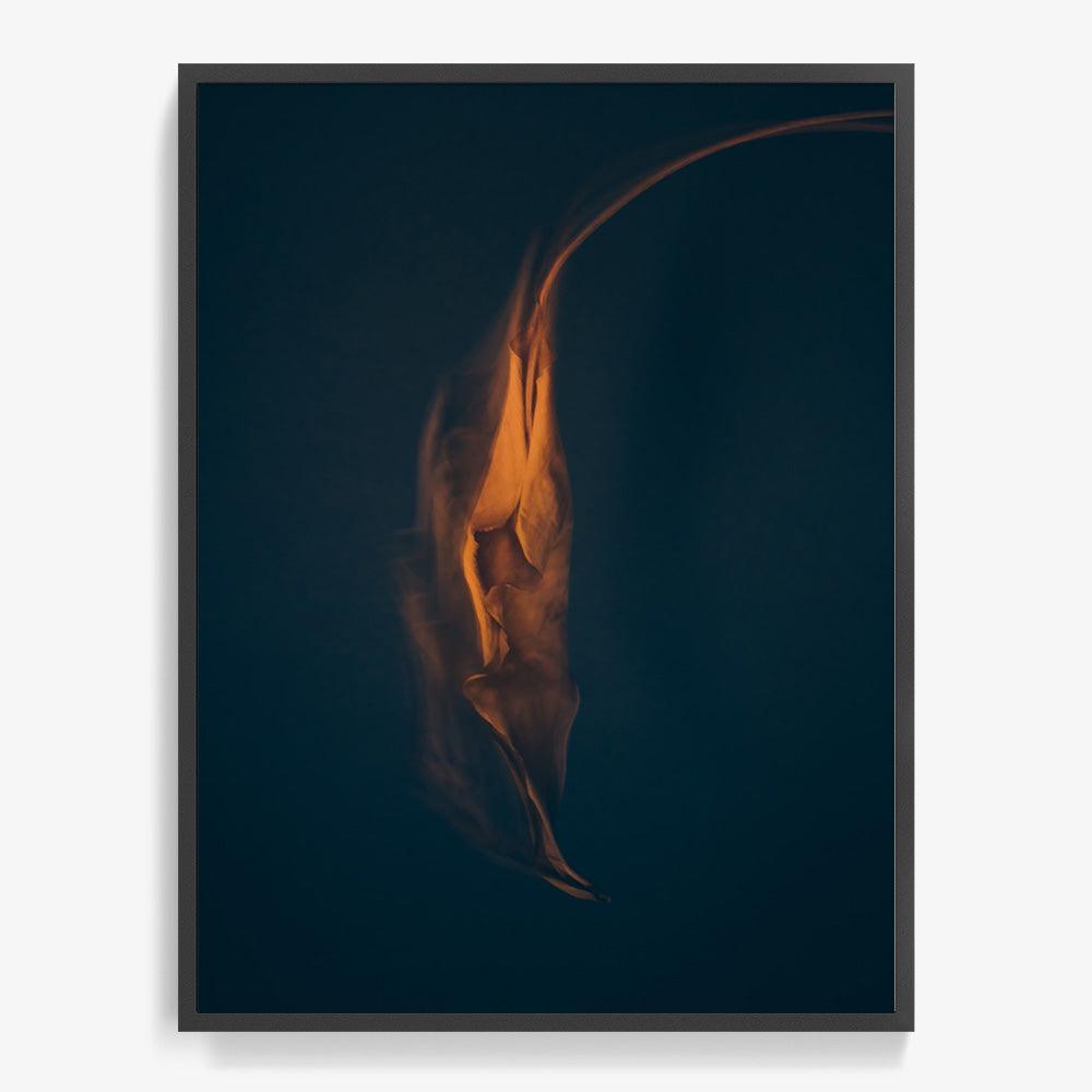Photograph by Jan Prengel