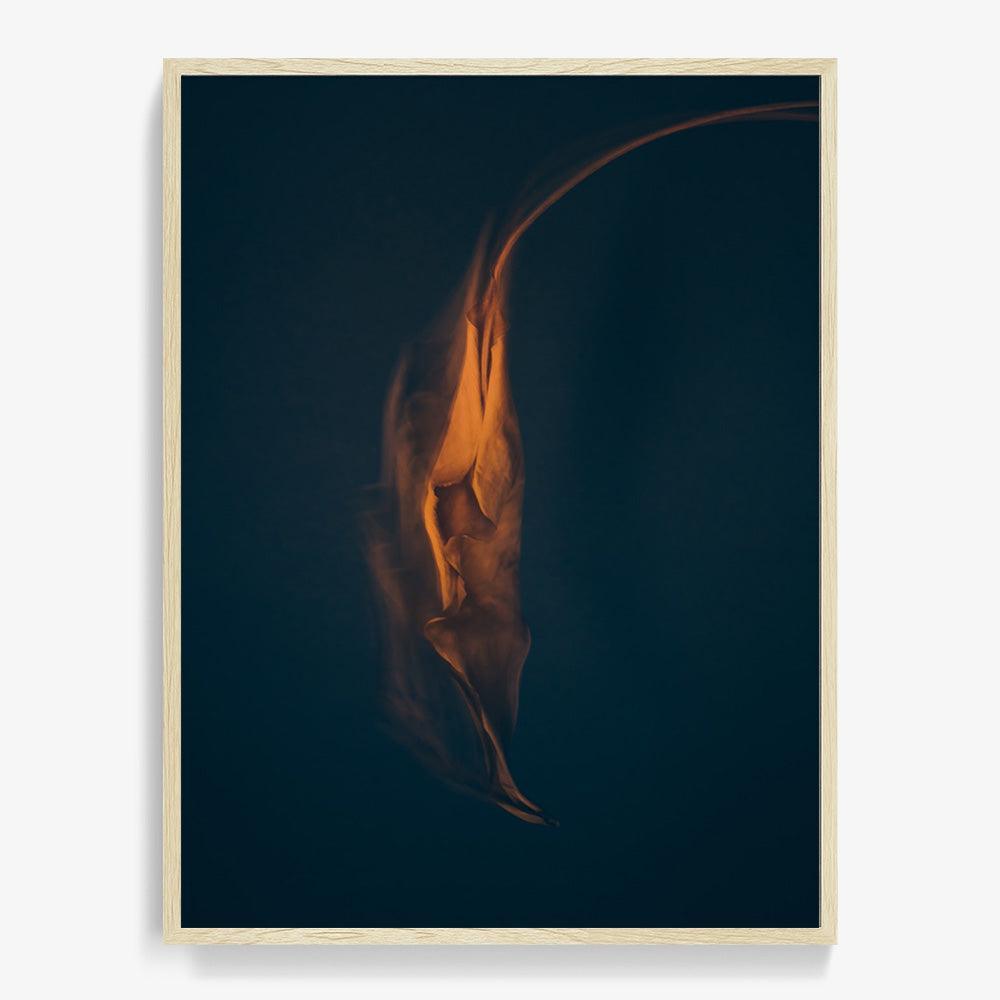 Photograph by Jan Prengel