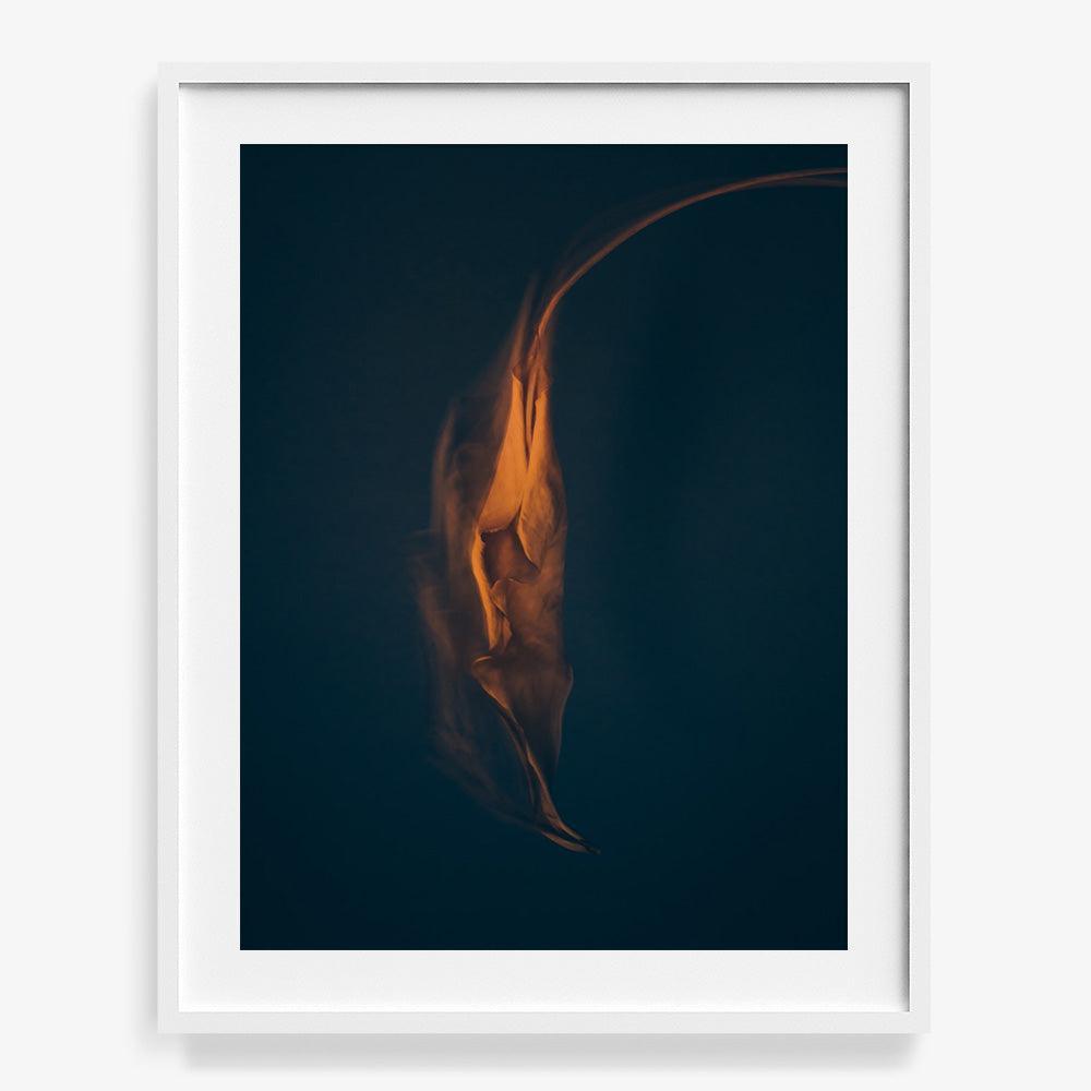 Photograph by Jan Prengel