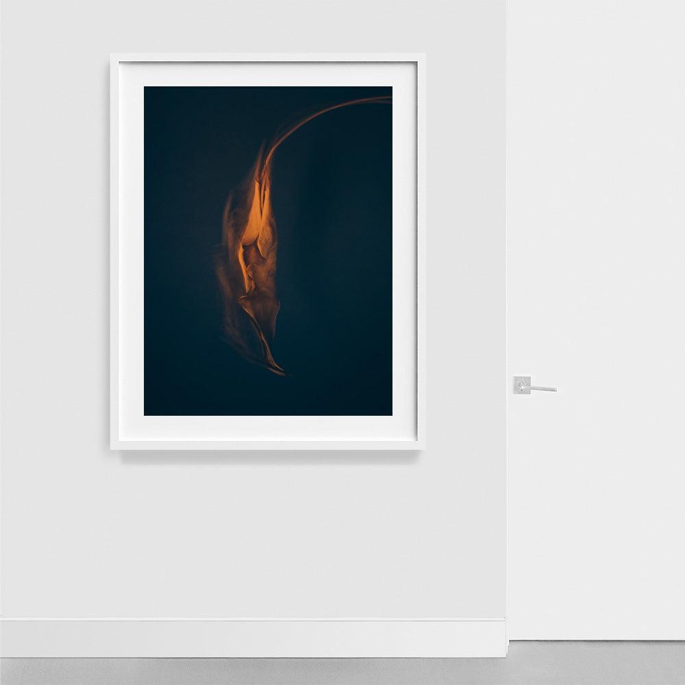 Metamorphosis 04 , Photograph by Metamorphosis 04 Tappan
