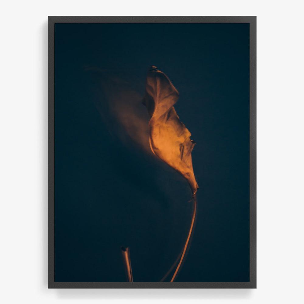 Photograph by Jan Prengel