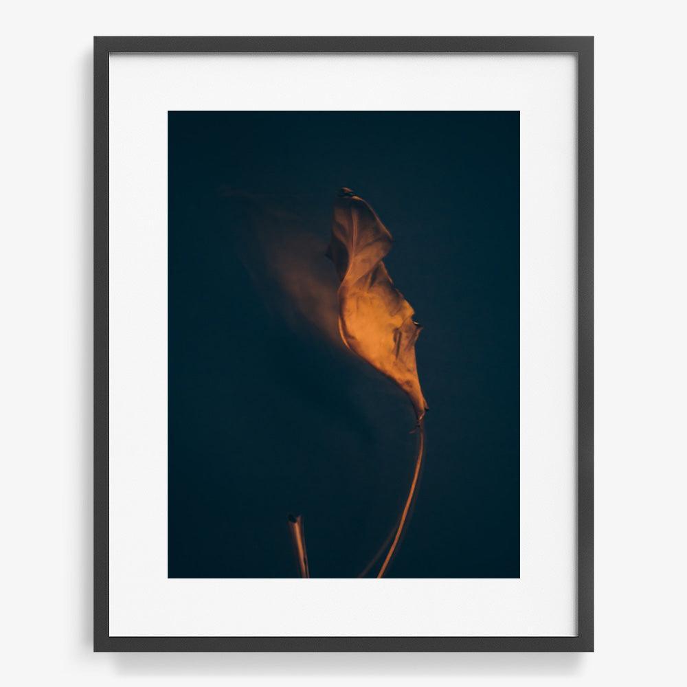 Photograph by Jan Prengel