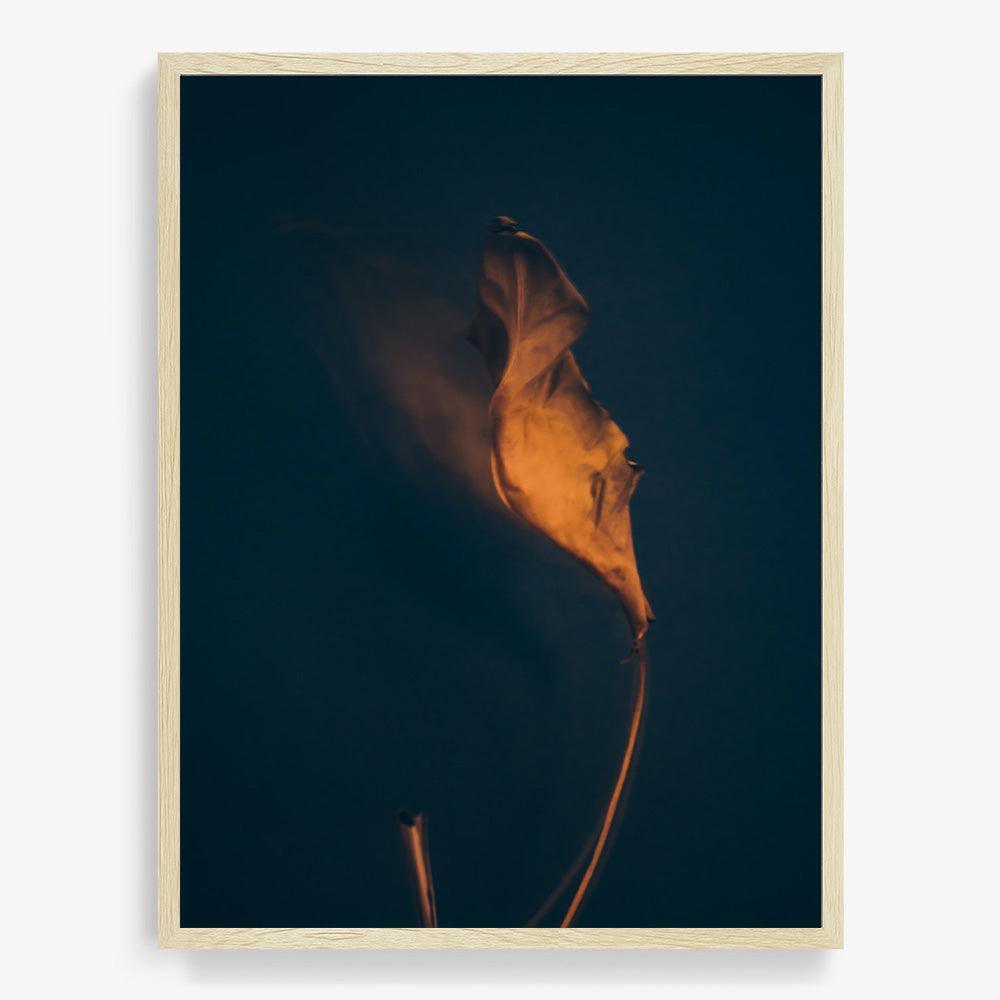 Photograph by Jan Prengel
