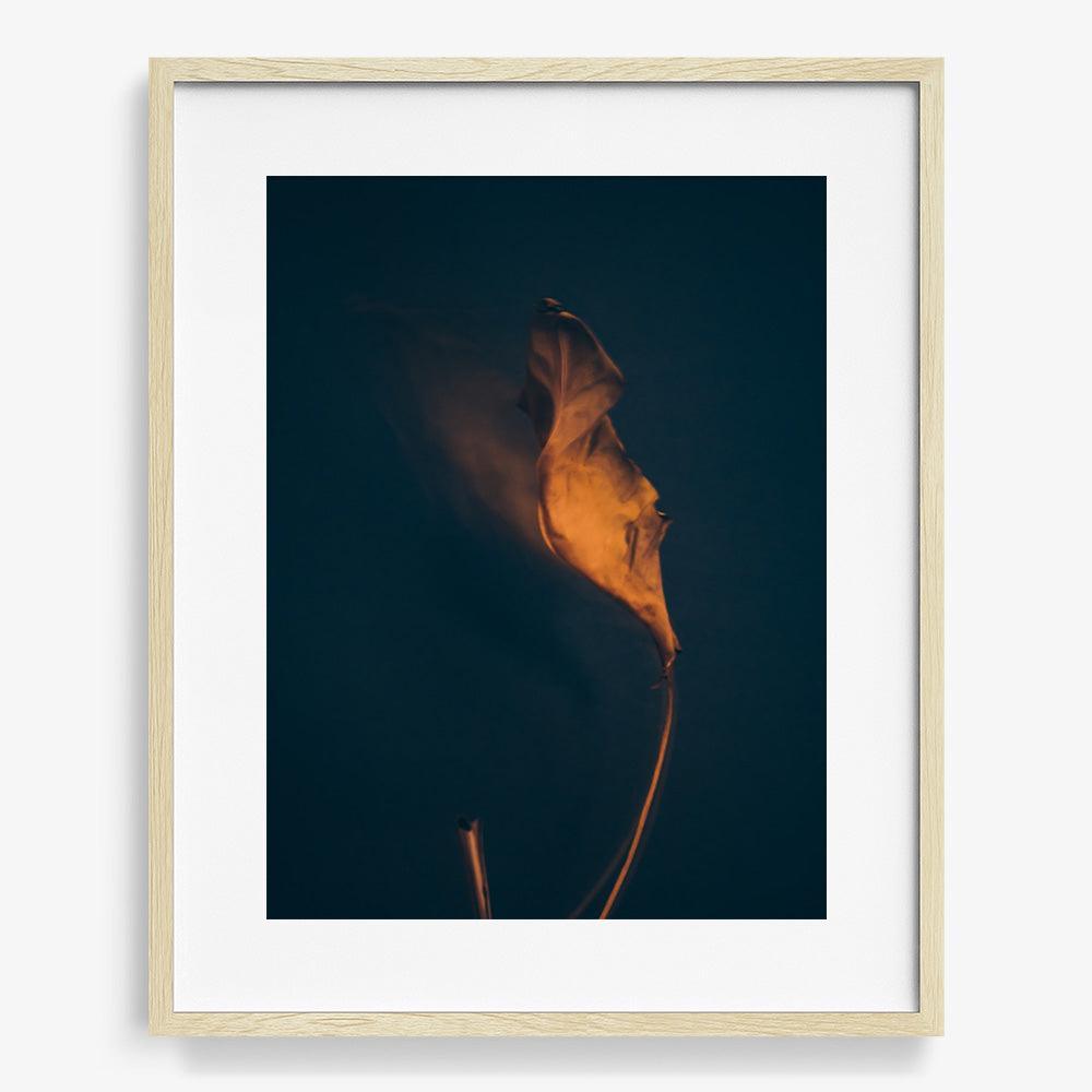 Photograph by Jan Prengel