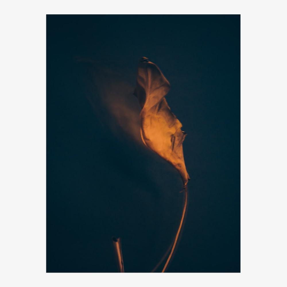 Photograph by Jan Prengel