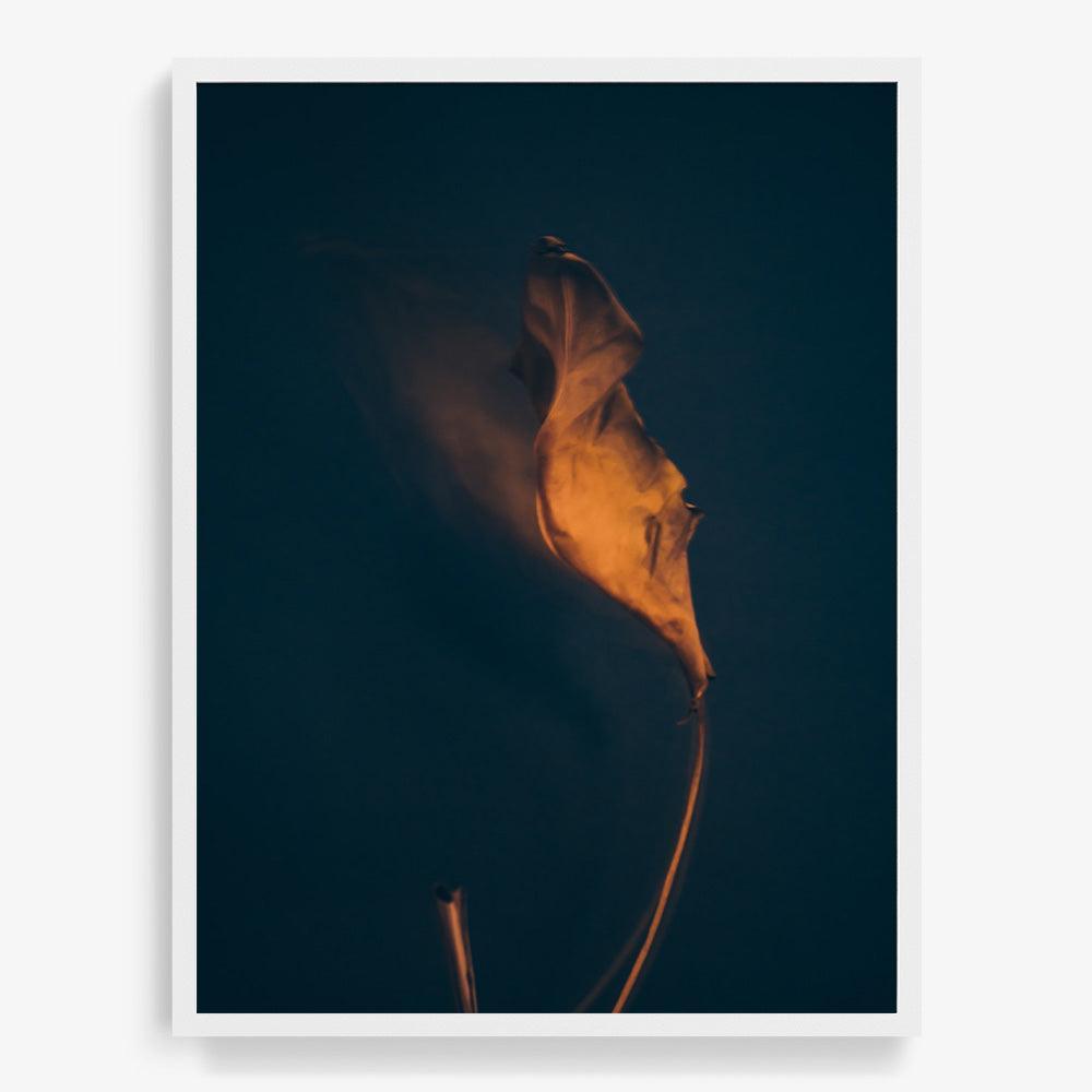 Photograph by Jan Prengel
