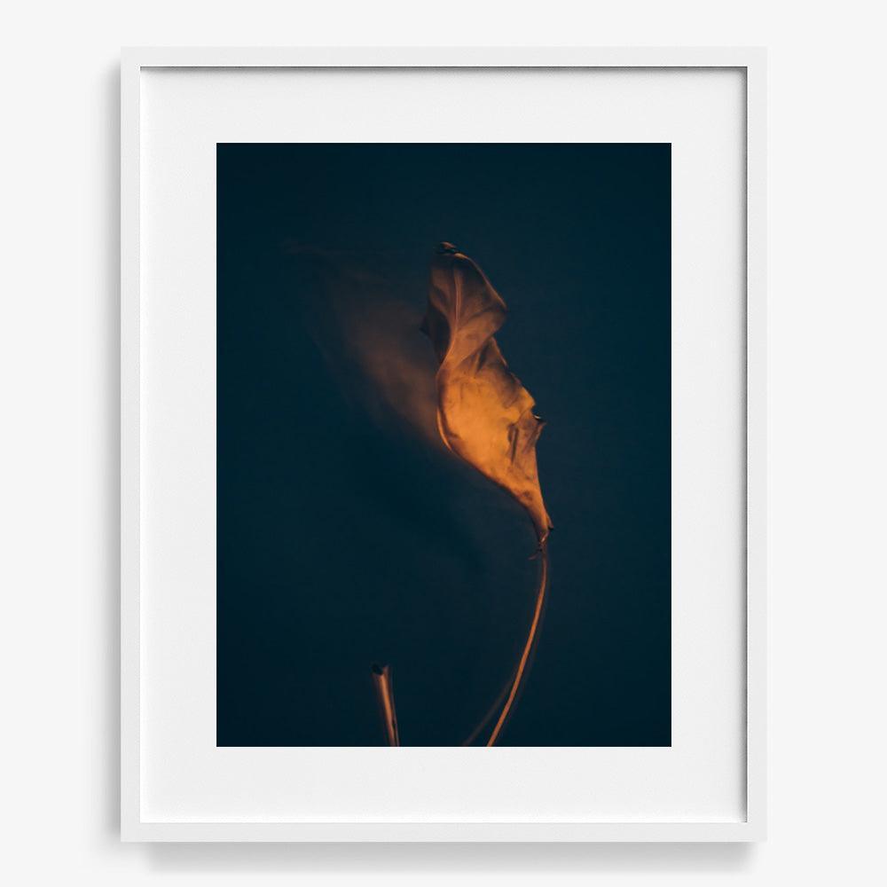 Photograph by Jan Prengel