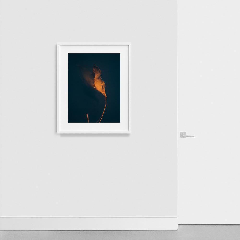 Photograph by Jan Prengel