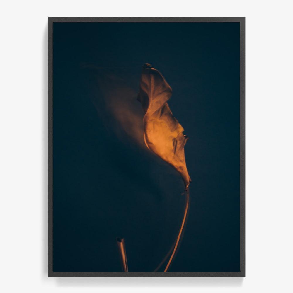 Photograph by Jan Prengel