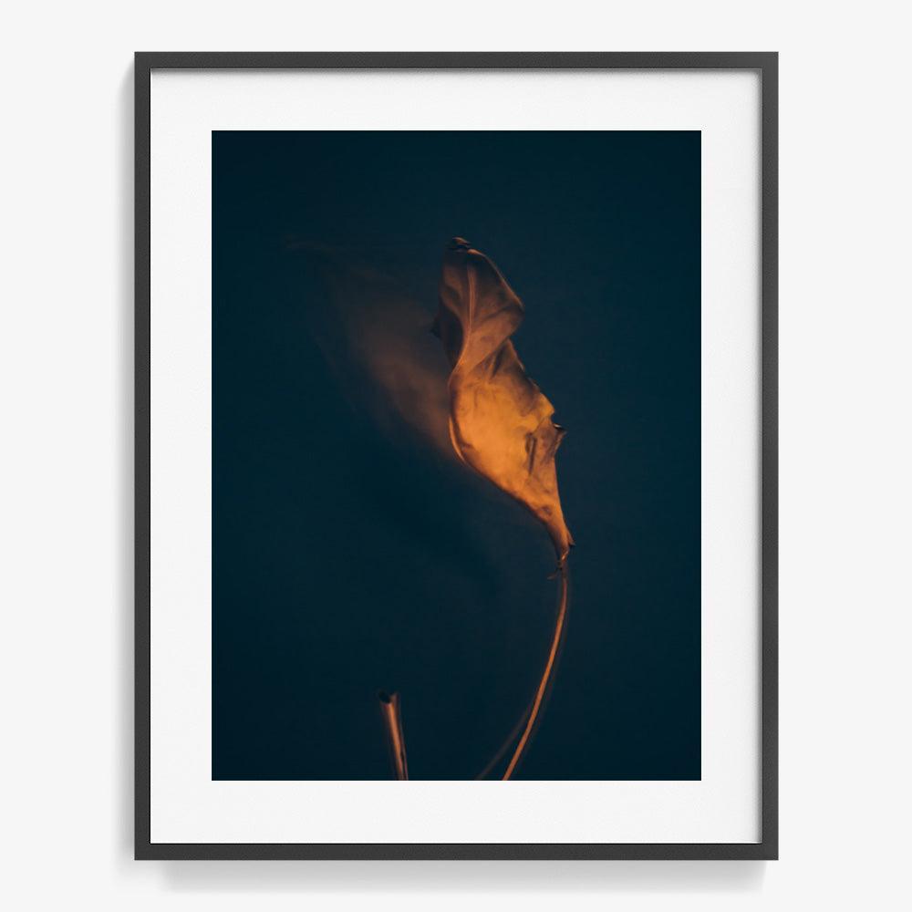 Photograph by Jan Prengel