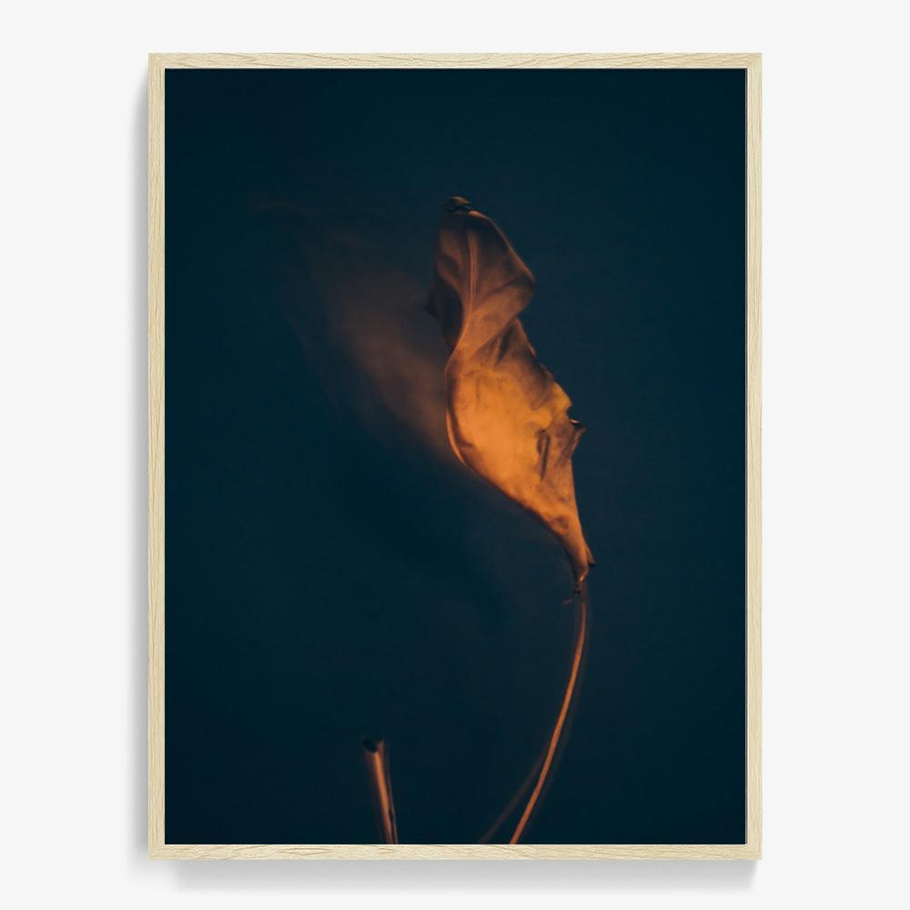 Photograph by Jan Prengel