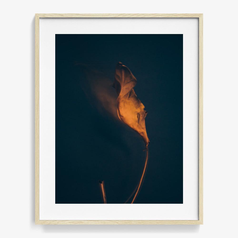 Photograph by Jan Prengel