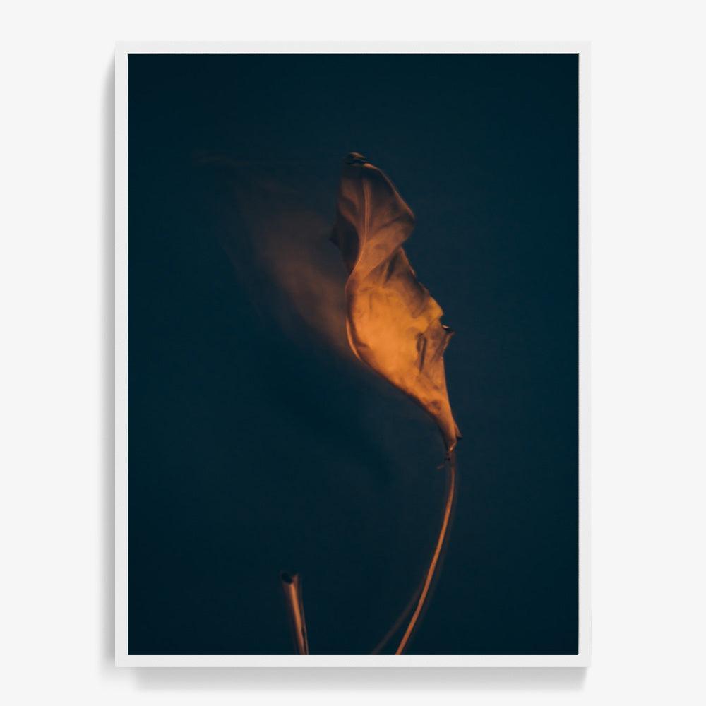 Photograph by Jan Prengel