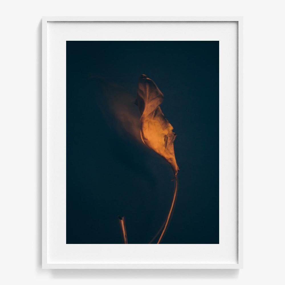 Photograph by Jan Prengel