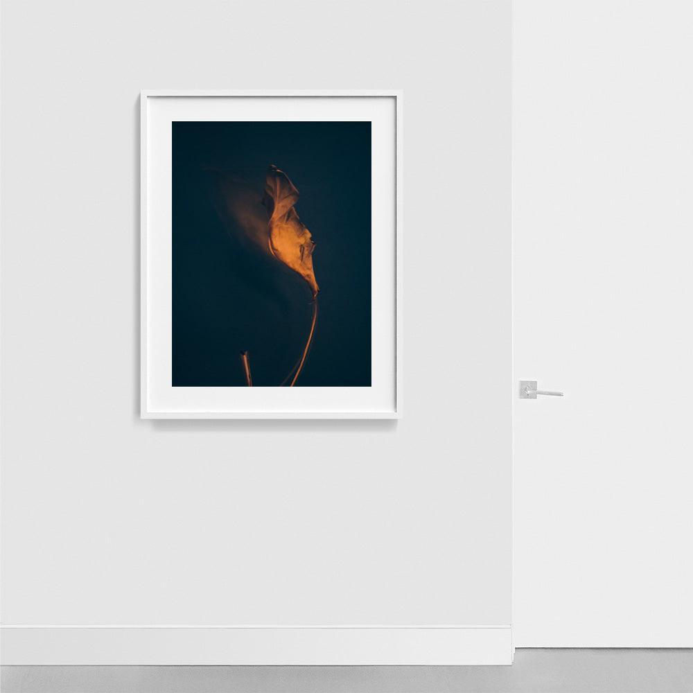 Photograph by Jan Prengel