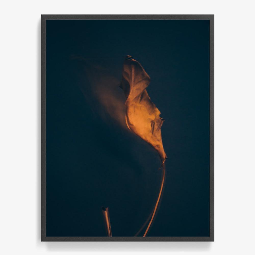 Photograph by Jan Prengel