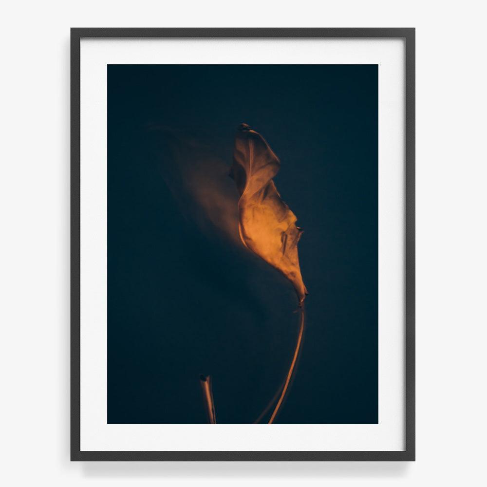 Photograph by Jan Prengel