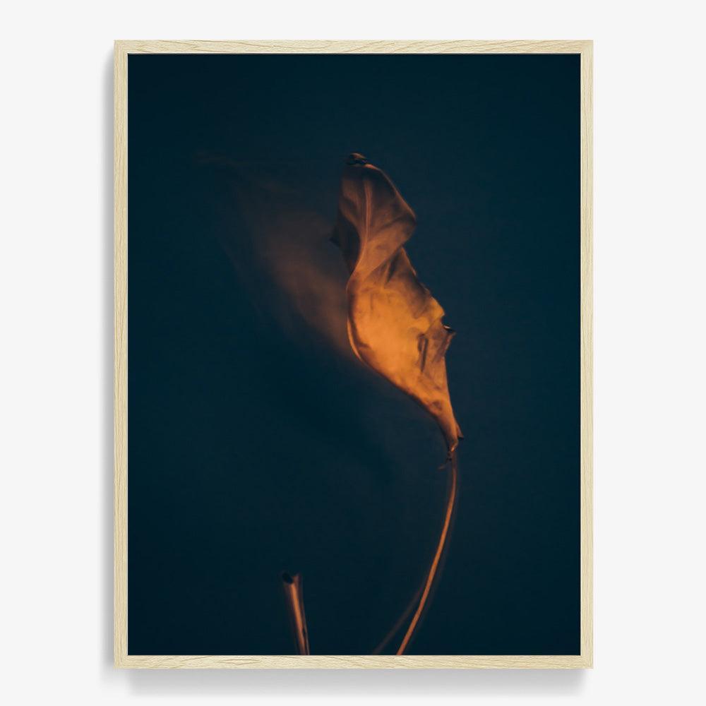Photograph by Jan Prengel