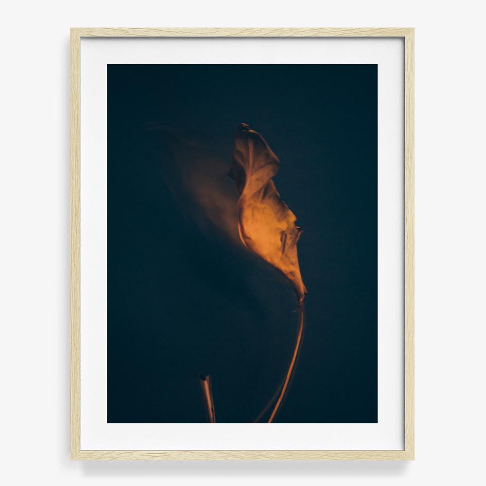 Photograph by Jan Prengel