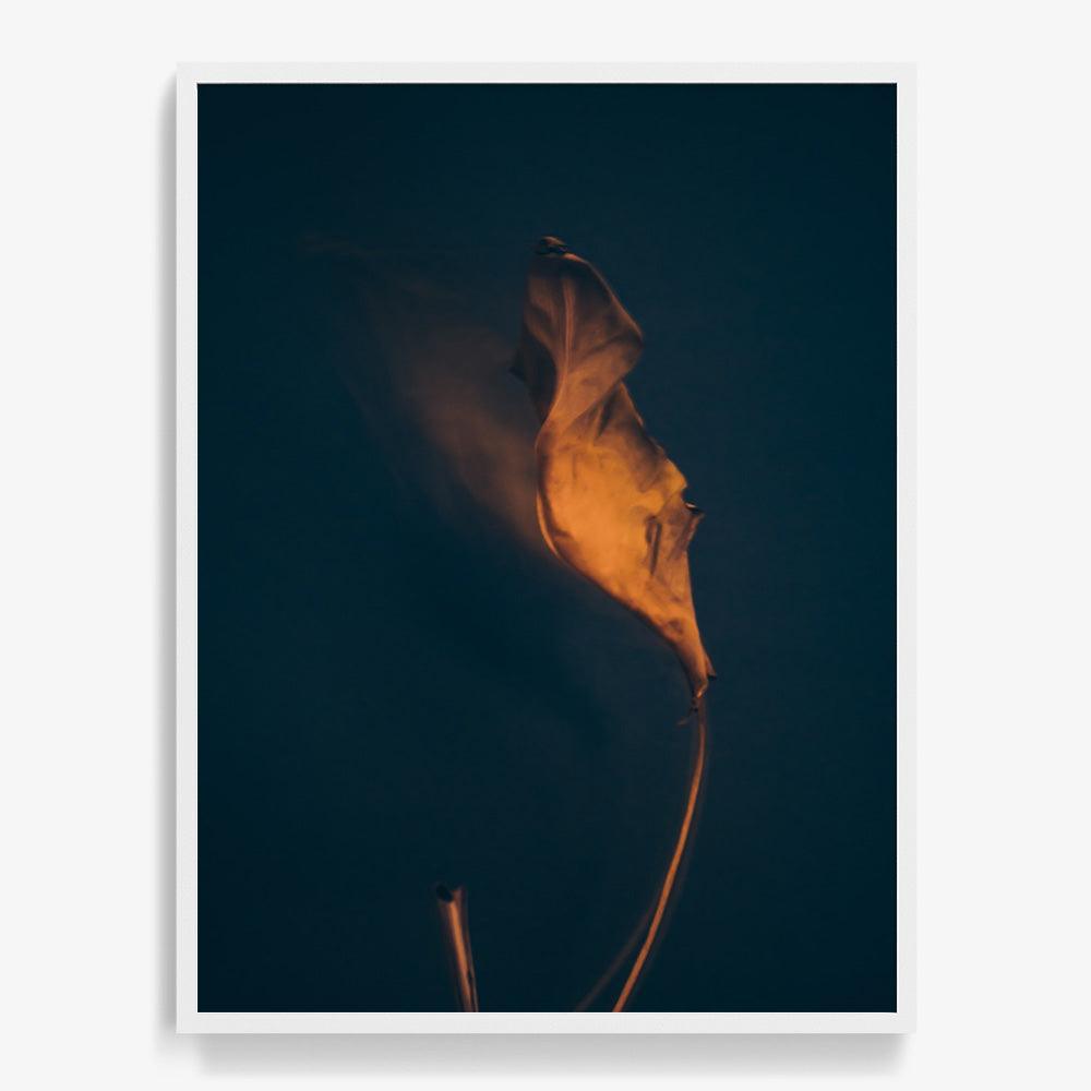 Photograph by Jan Prengel