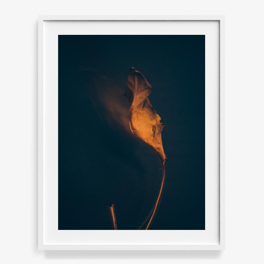 Photograph by Jan Prengel