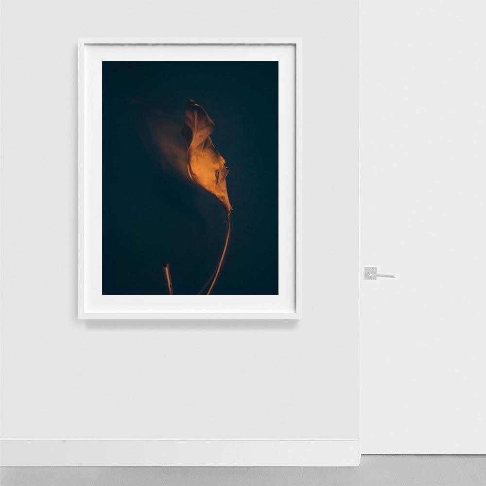 Metamorphosis 06 , Photograph by Metamorphosis 06 Tappan