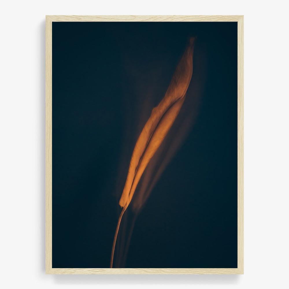 Photograph by Jan Prengel