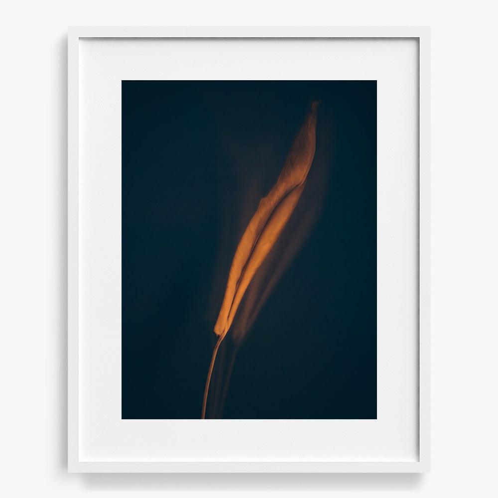 Photograph by Jan Prengel