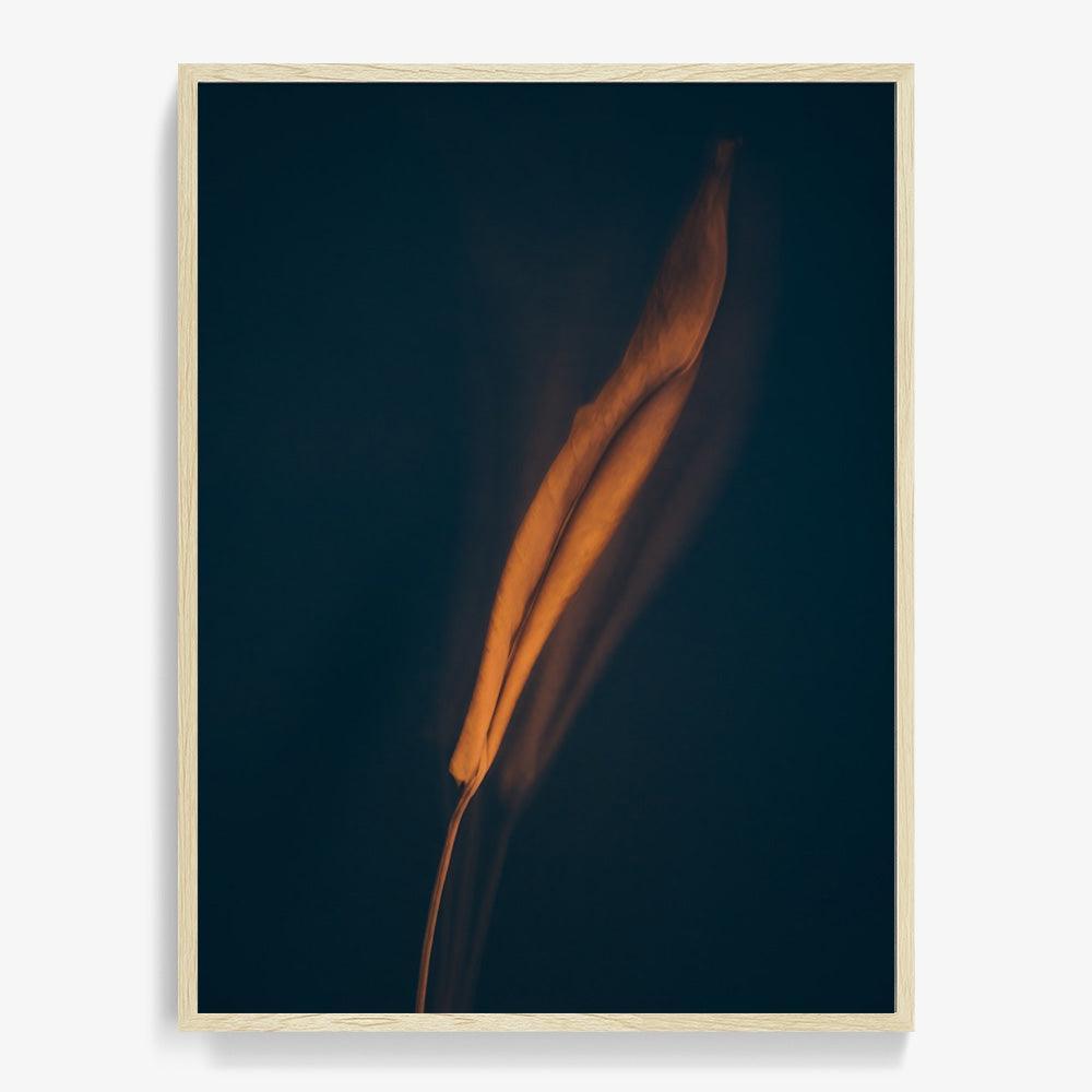 Photograph by Jan Prengel
