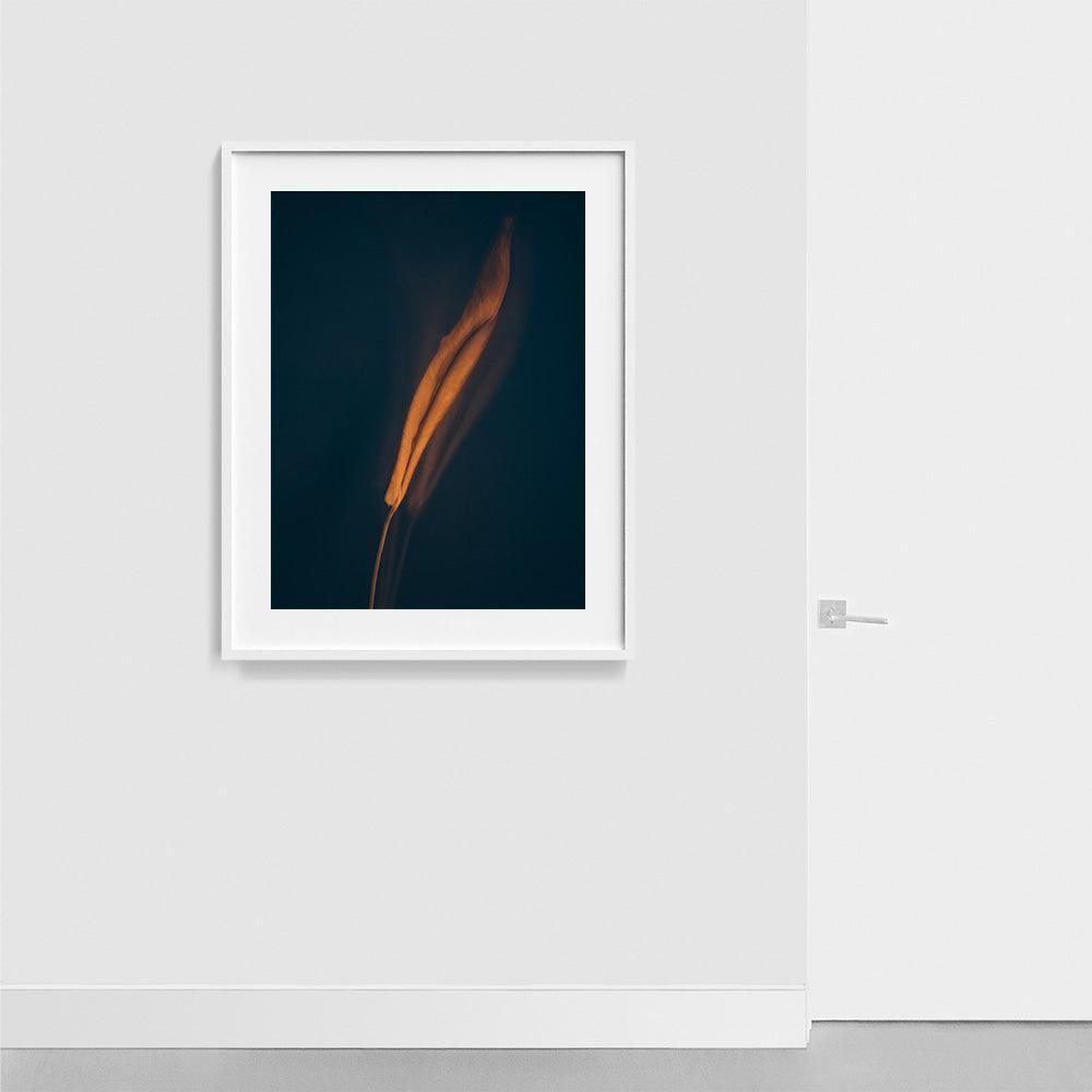 Photograph by Jan Prengel