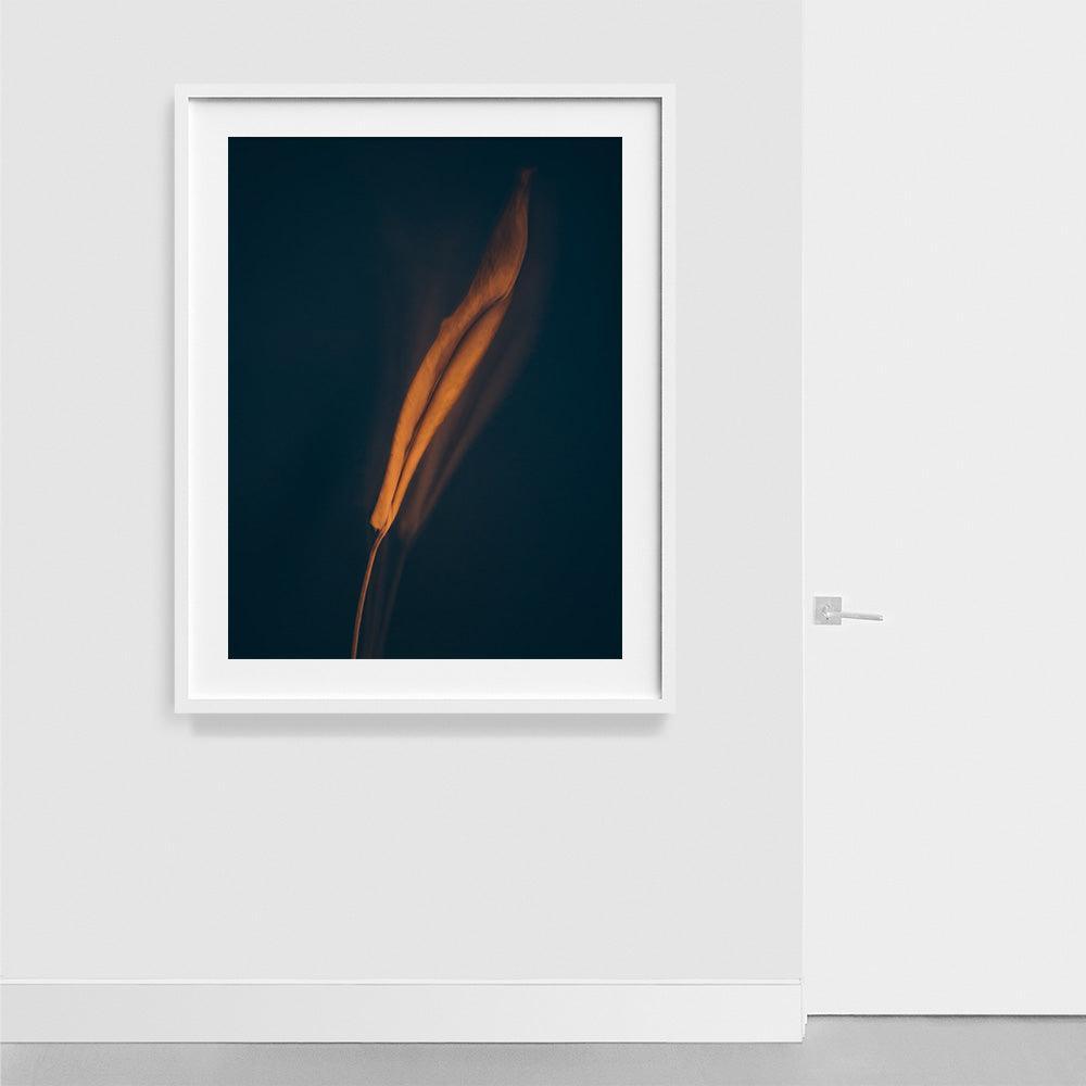 Photograph by Jan Prengel