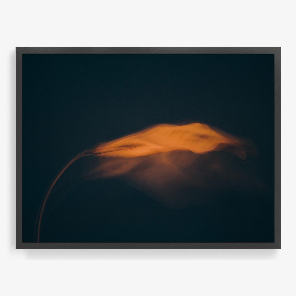 Photograph by Jan Prengel