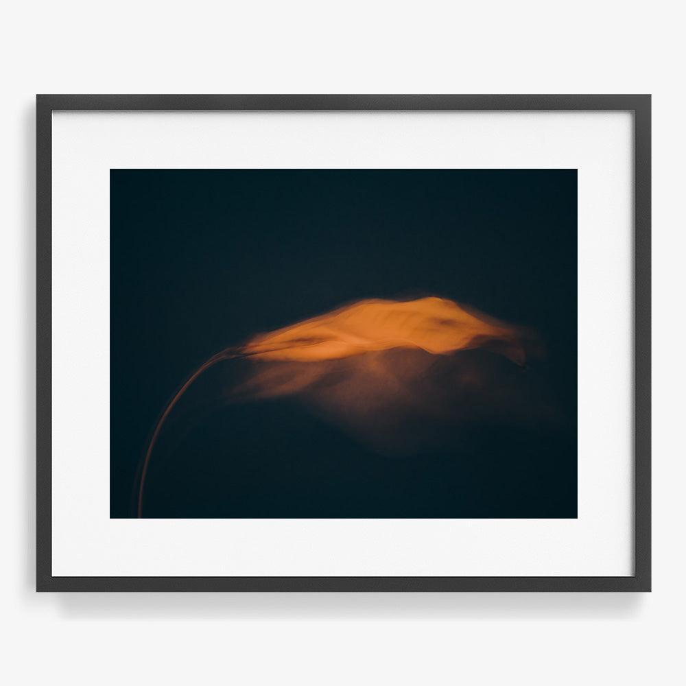 Photograph by Jan Prengel