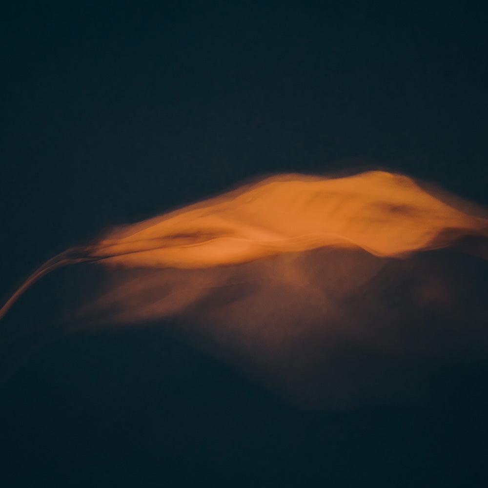Photograph by Jan Prengel