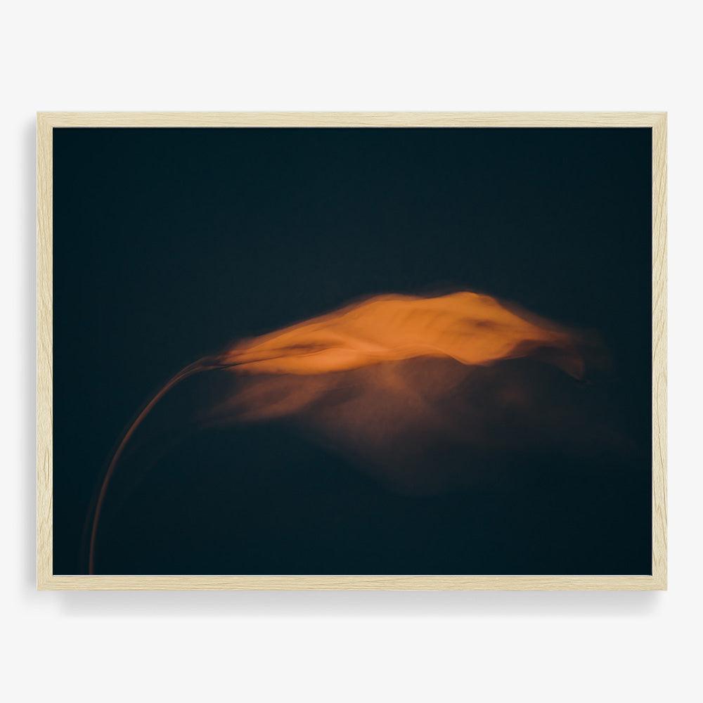 Photograph by Jan Prengel