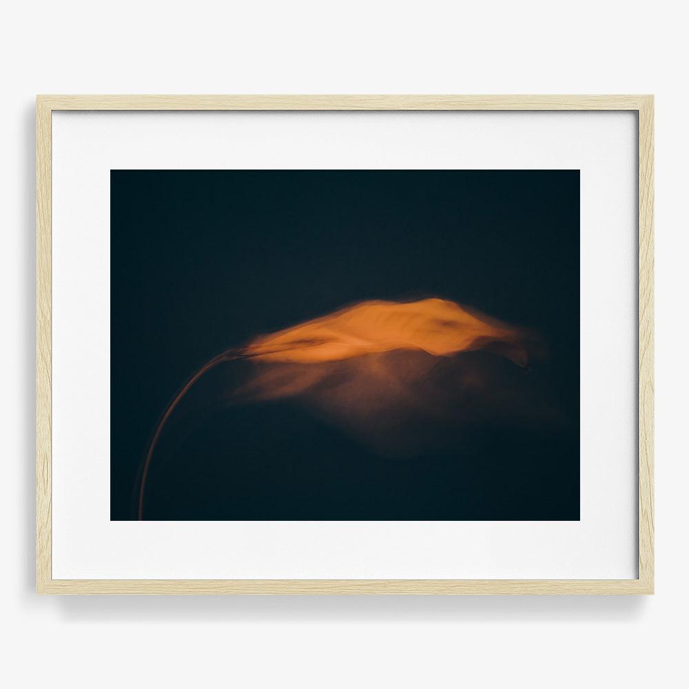 Photograph by Jan Prengel