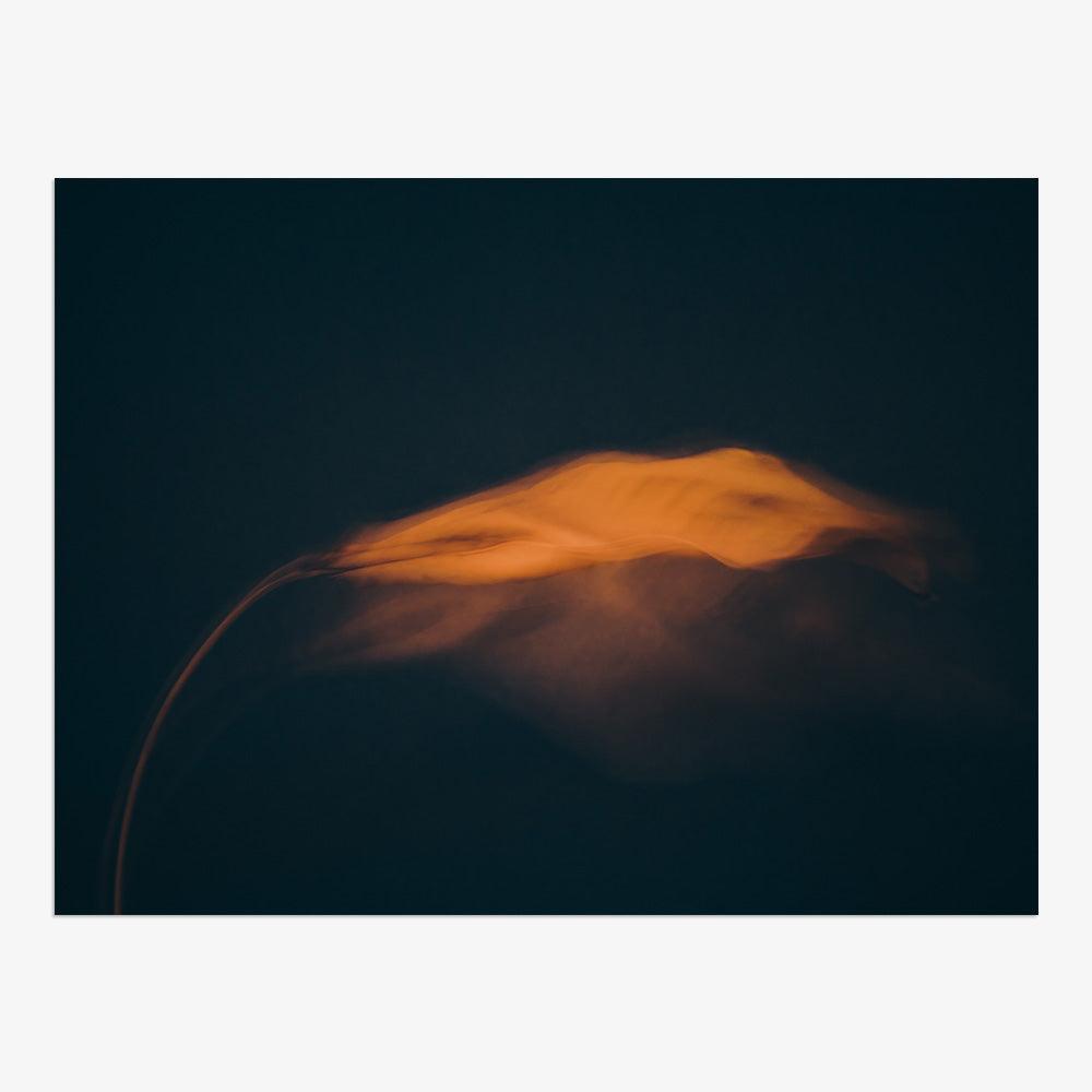 Photograph by Jan Prengel