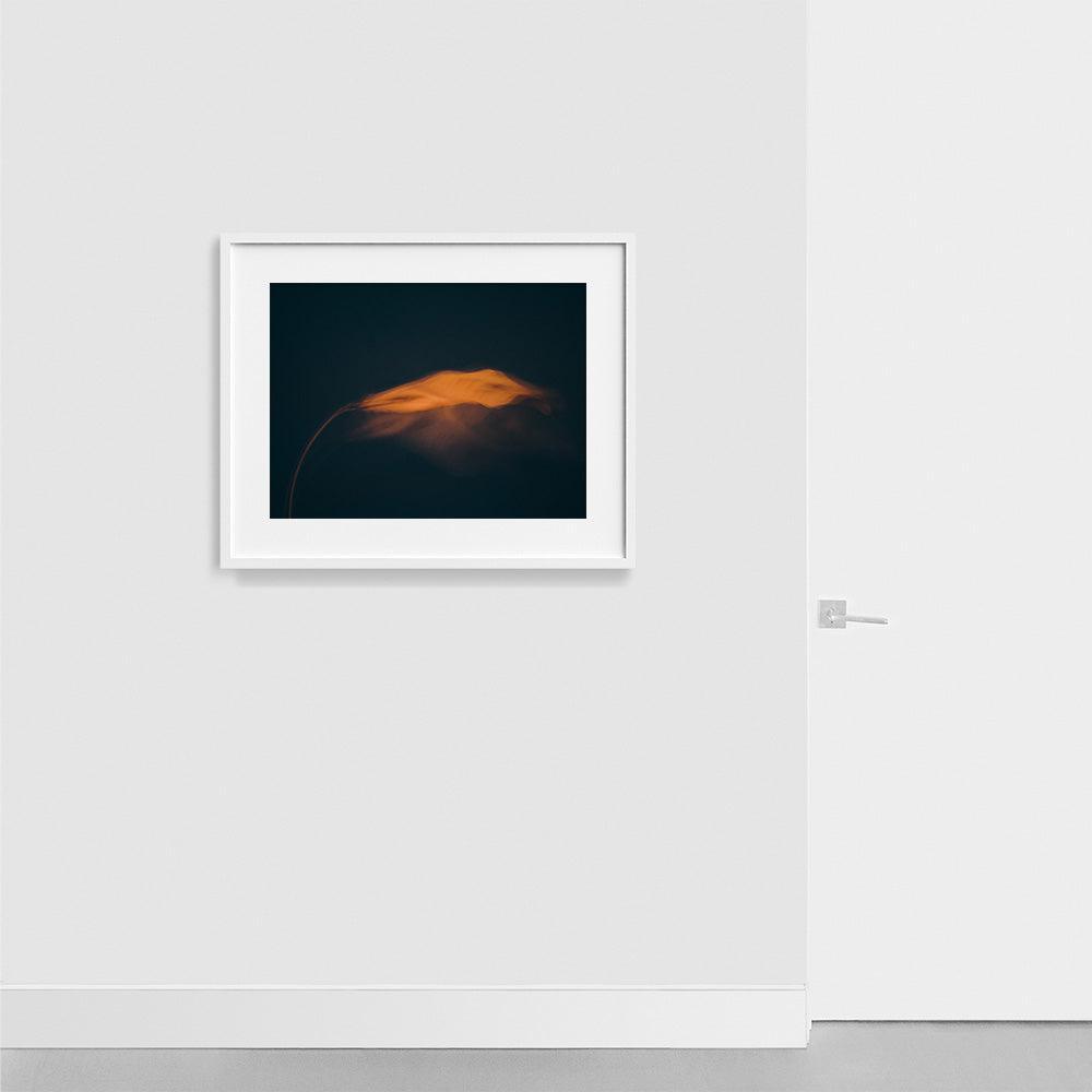 Photograph by Jan Prengel