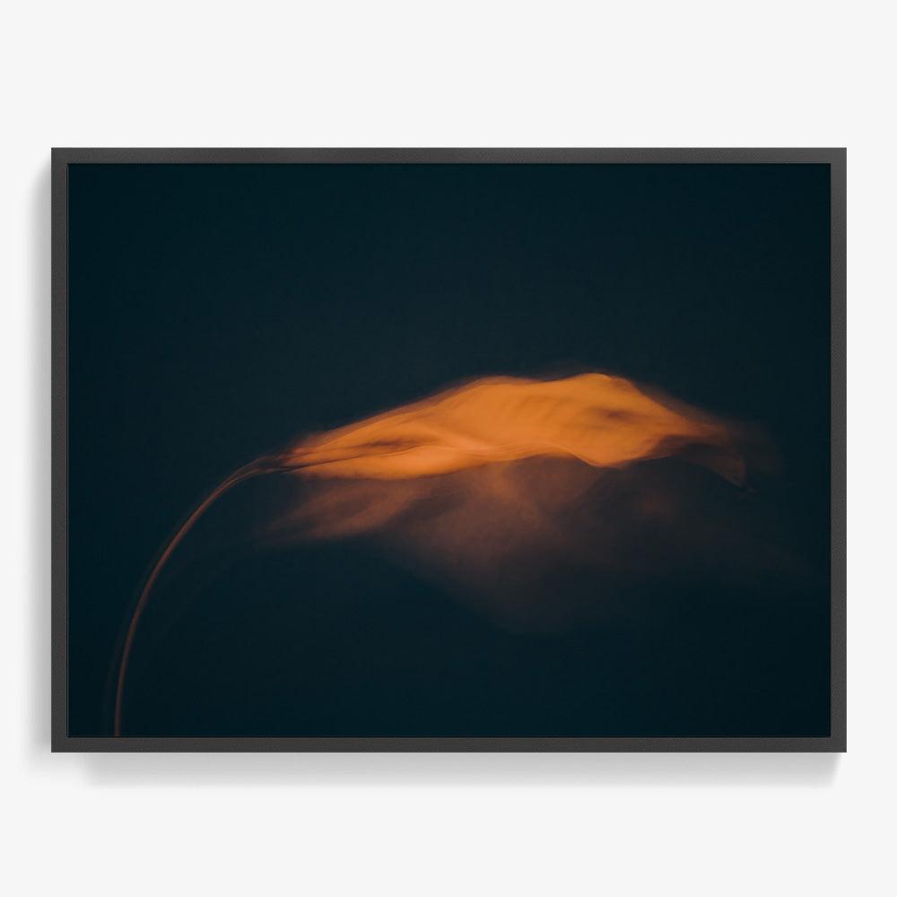 Photograph by Jan Prengel