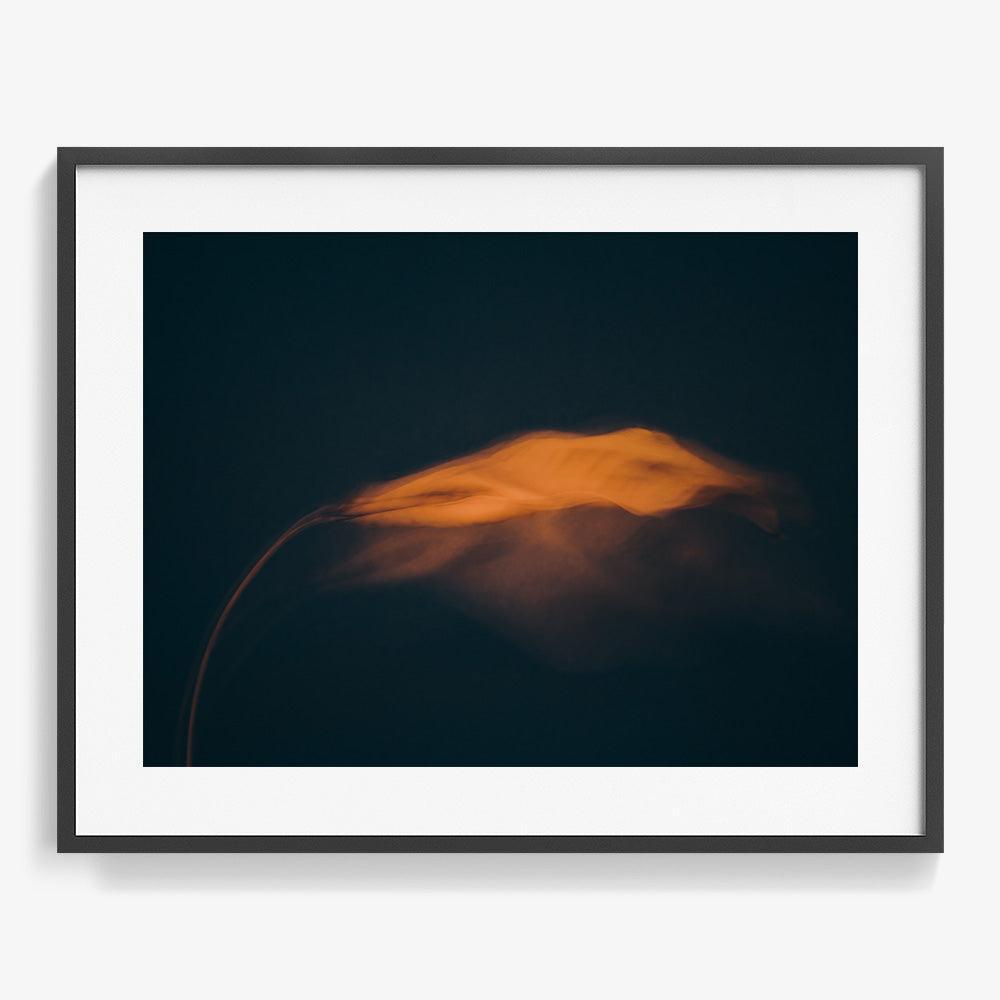 Photograph by Jan Prengel