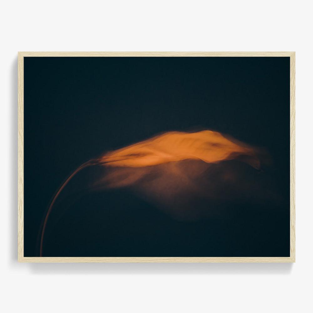Photograph by Jan Prengel