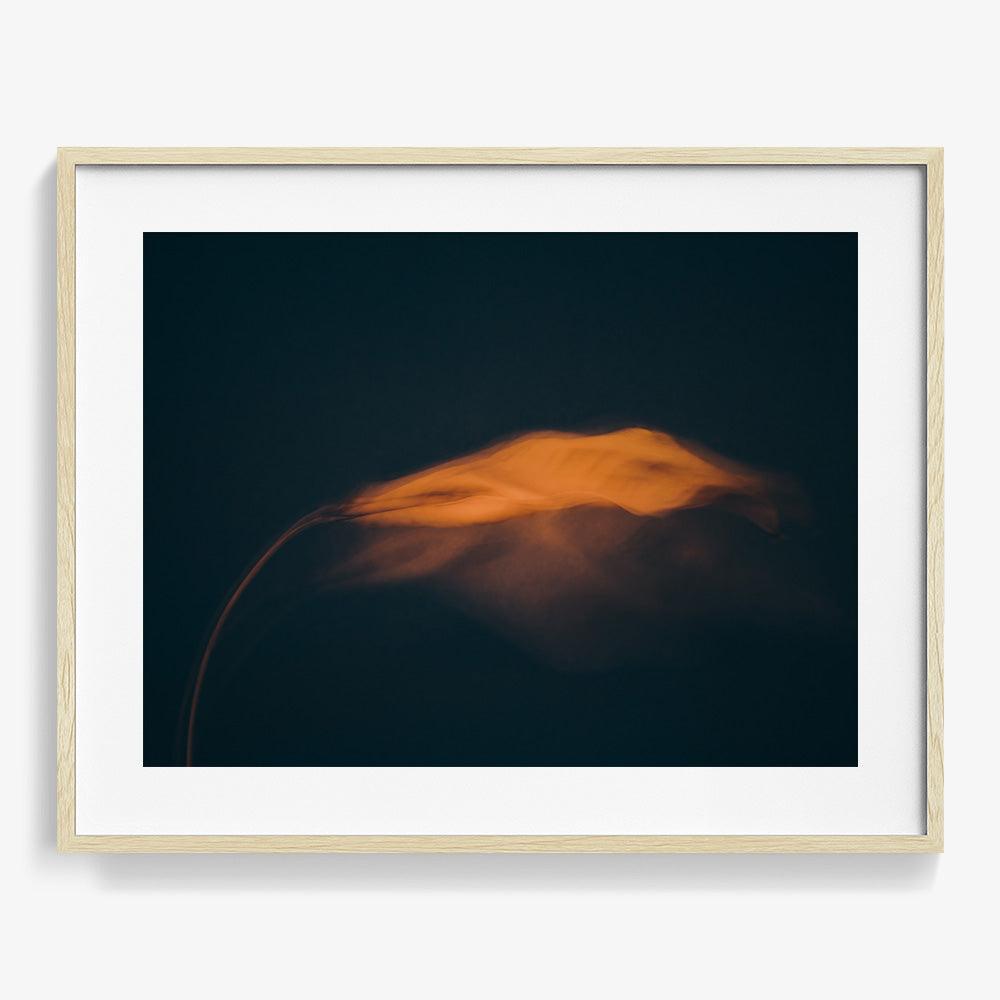 Photograph by Jan Prengel
