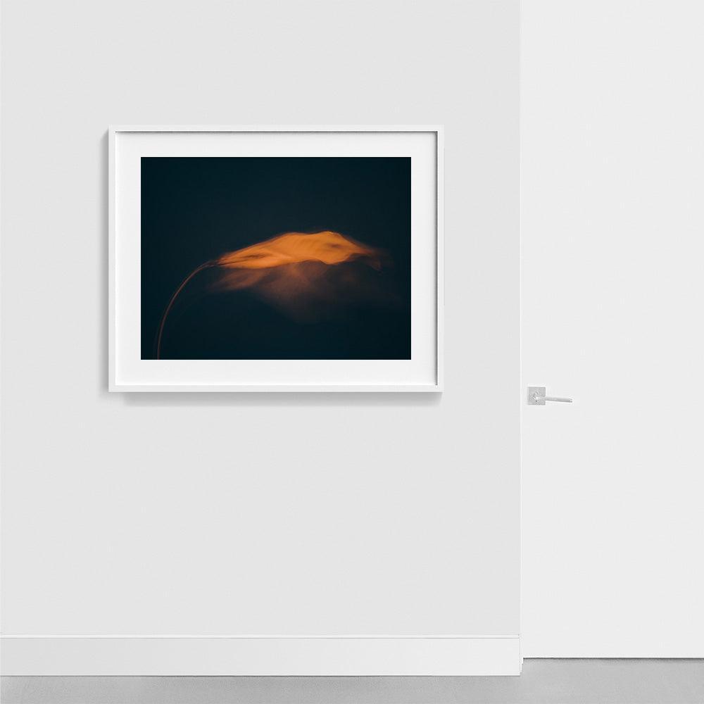 Photograph by Jan Prengel