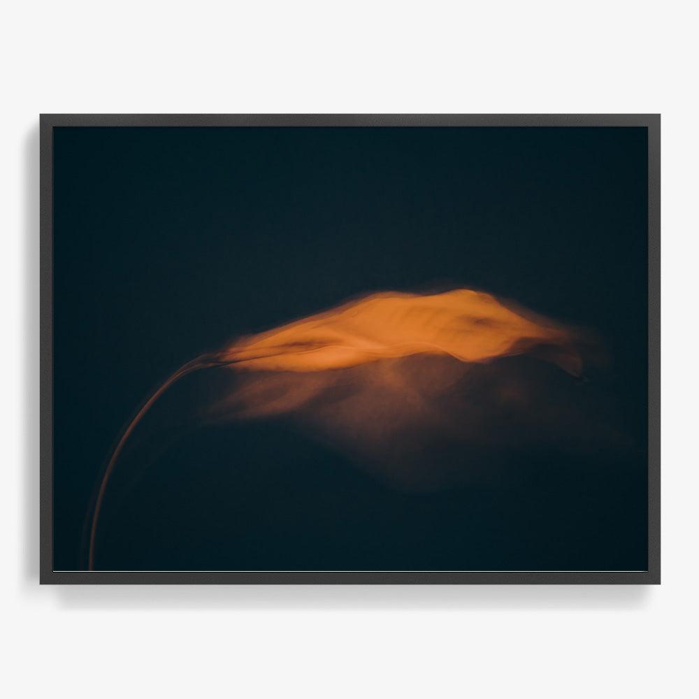 Photograph by Jan Prengel