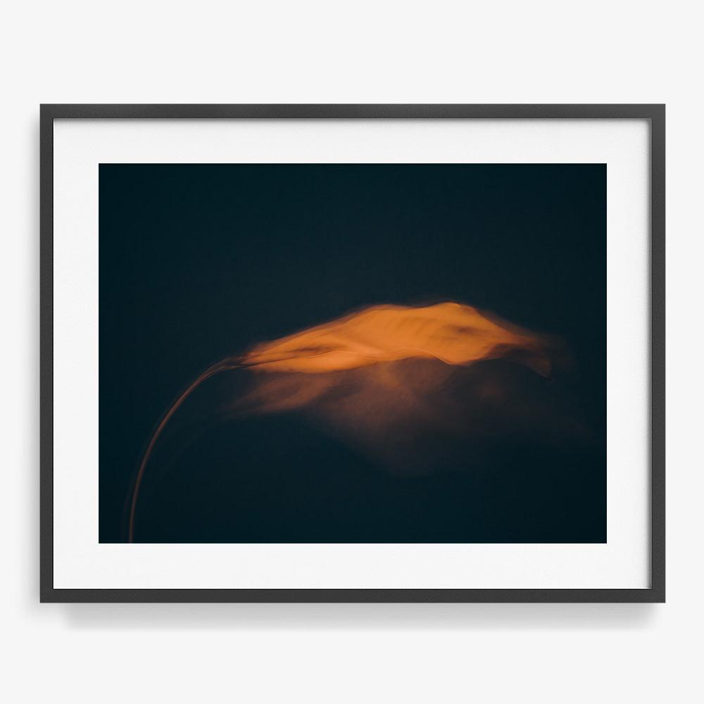 Photograph by Jan Prengel