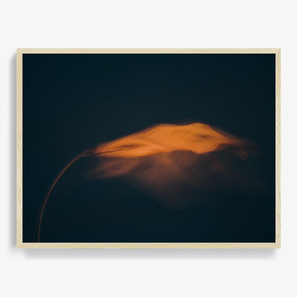 Photograph by Jan Prengel