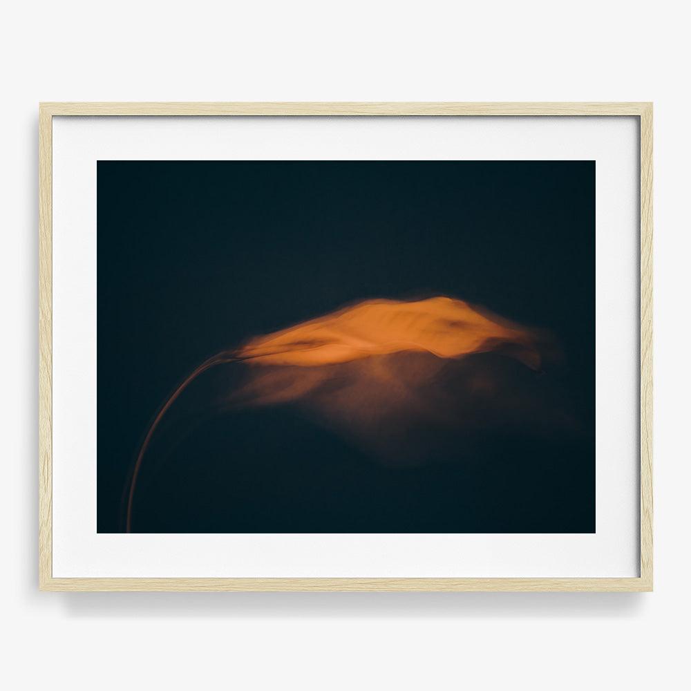 Photograph by Jan Prengel